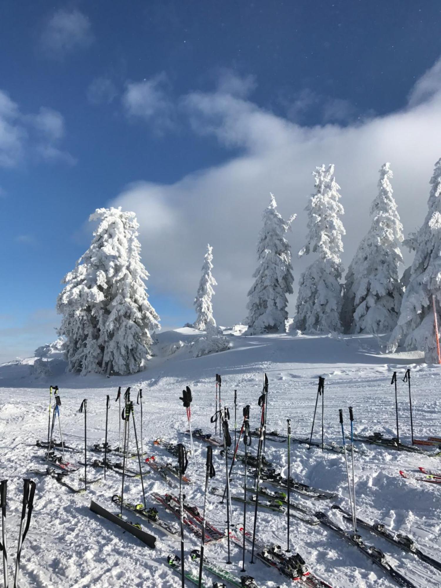 Bewegte Berge Apartments Saalfelden am Steinernen Meer Kültér fotó