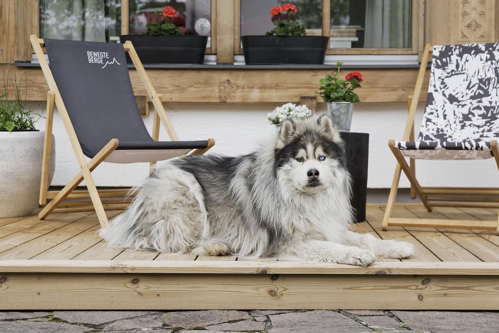 Bewegte Berge Apartments Saalfelden am Steinernen Meer Kültér fotó
